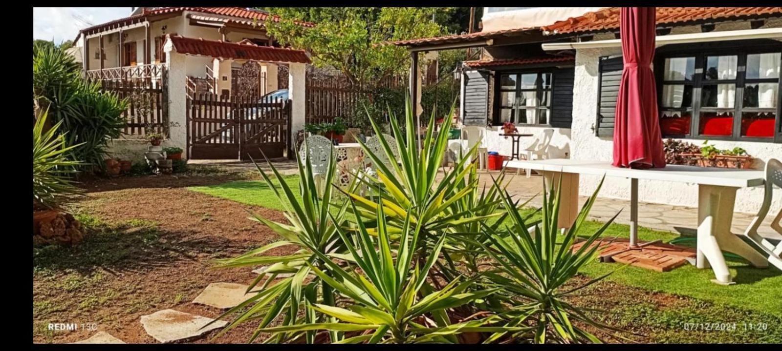 Phedra'S House Spata- Artemida 外观 照片